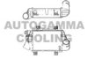 AUTOGAMMA 101966 Intercooler, charger